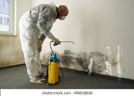 Reliable Baxter Estates, NY Mold Remediation Solutions